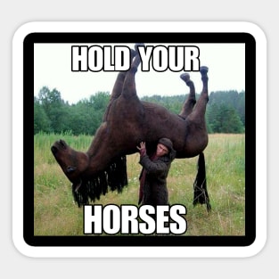 Hold Your Horse Funny Meme Sticker